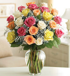 24 Premium Roses - You Choose Color from Clermont Florist & Wine Shop, flower shop in Clermont